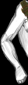 LEFT ARM